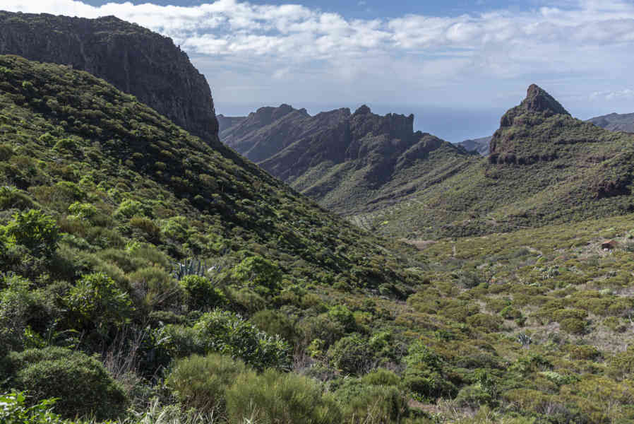 Tenerife 271 - parque rural de Teno.jpg